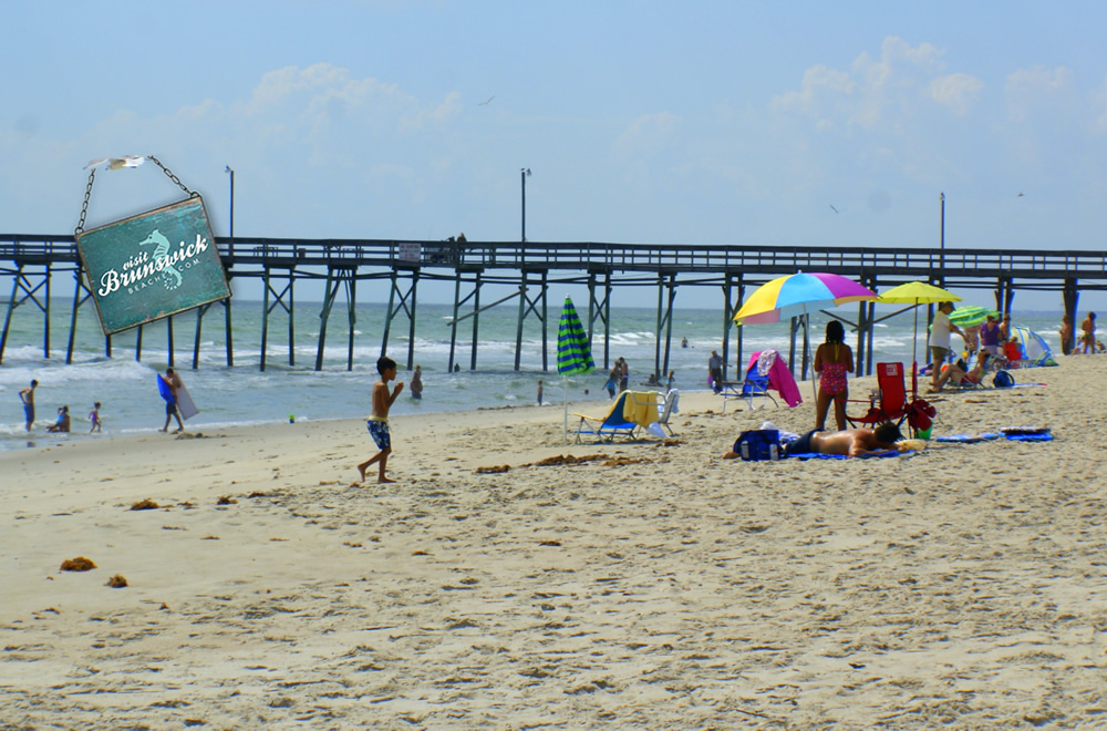 Brunswick County Business